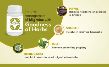 Charak Cephagraine Tablets – Migraine & Sinusitis Relief | Pack of 2 × 40 Tablets | Ayurvedic Headache Formula