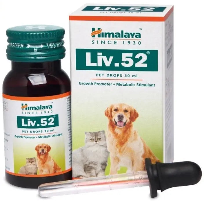 Himalaya Liv.52 Pet Drops – Pack of 2 (30ml Each) | Liver Support for Dogs & Cats | Appetite & Recovery Tonic