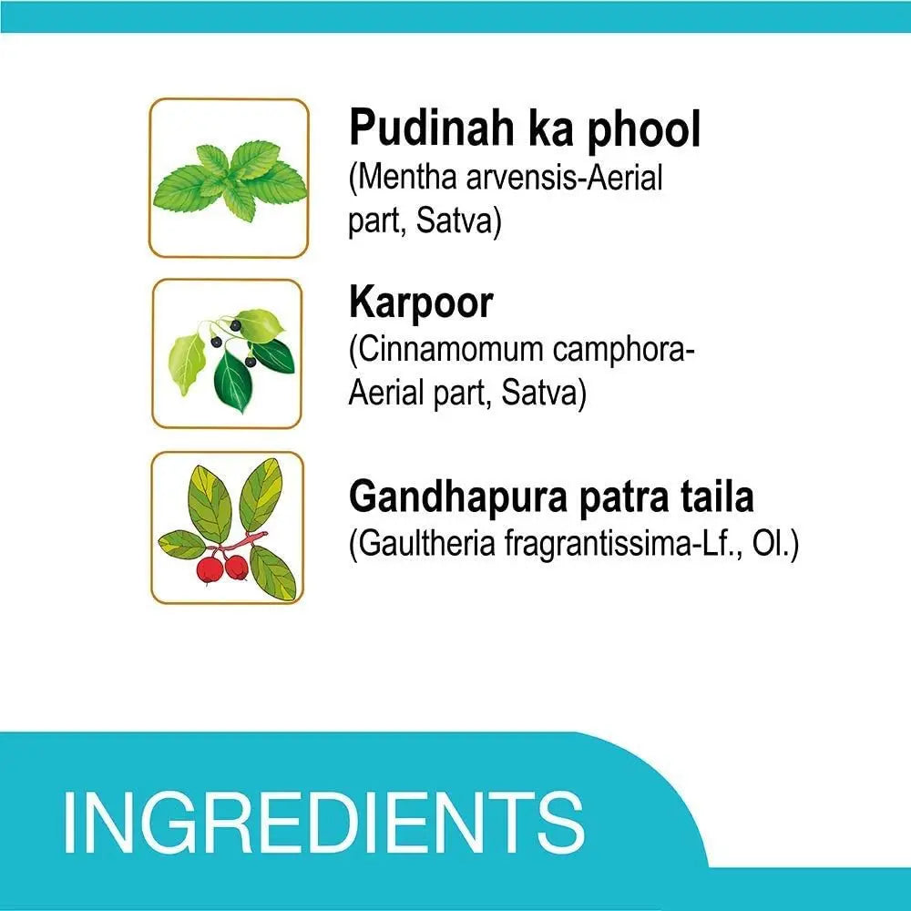 Amrutanjan Back Pain Roll-On – 50ml Each (Pack of 2) | Fast Relief from Back, Muscle & Joint Pain