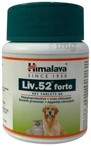 Himalaya Liv.52 Forte Vet Tablets – Pack of 2 | Liver Tonic for Dogs & Cats | 60 Tablets × 2 | Appetite & Liver Health Support