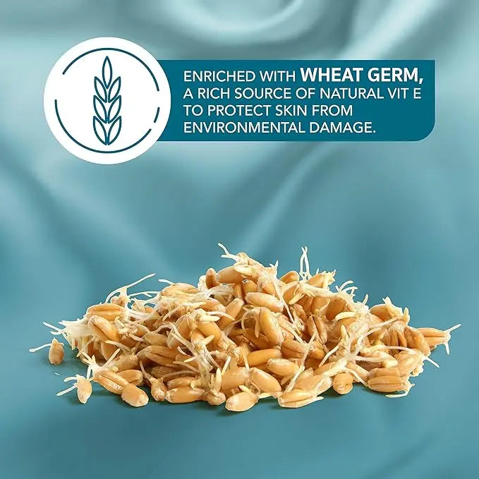 Himalaya Herbals Winter Defense Moisturizing Cream 100ml – Deep Hydration & Skin Protection