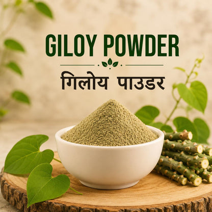 Organic Giloy Powder | Pure Guduchi Stem | Natural Immunity Support, Ayurvedic Supplement